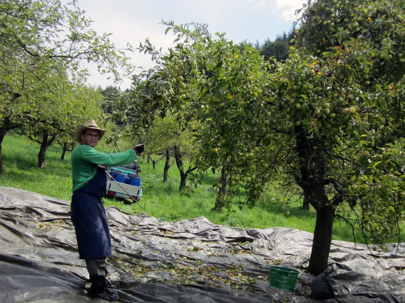 Schnapsbrennerei Baron Droste Hülshoff - Schauinsland Lamas in Horben